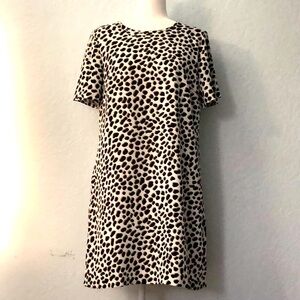 Ann Taylor women Dress leopard printed midi